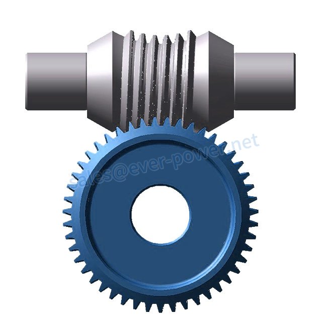 Globoid Worm Gear