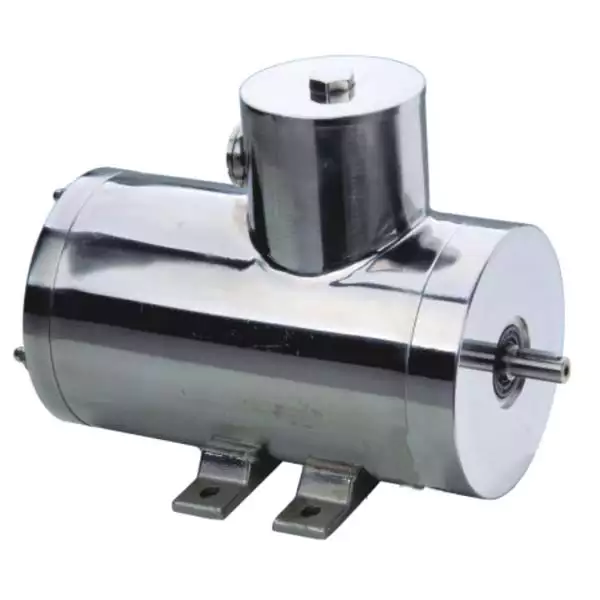 Stainless Steel Washdown-duty Electric Motor