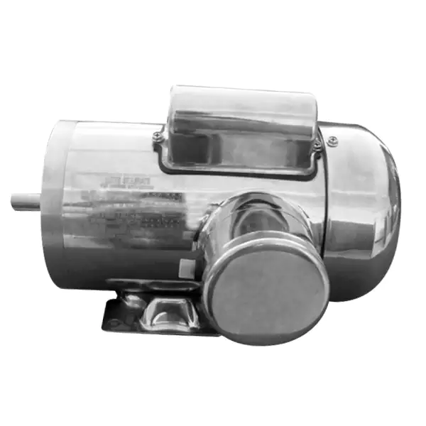 NEMA stainless steel motor -TENV Single capacitor 