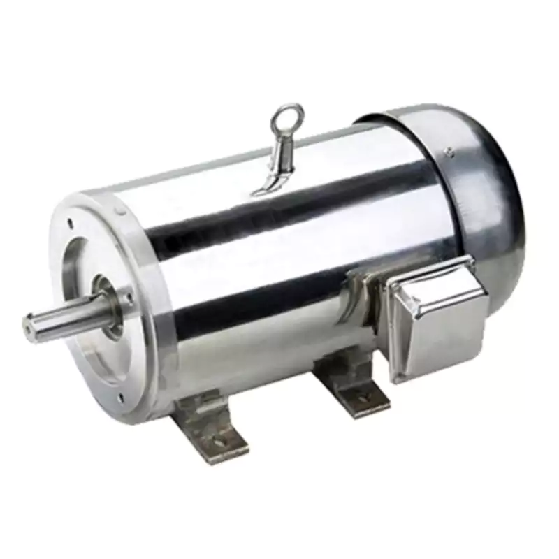 IEC B3 foot-mounted stainless steel motor -TEFC