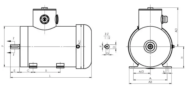 Stainless Steel Motor For Food and Beverage Plants