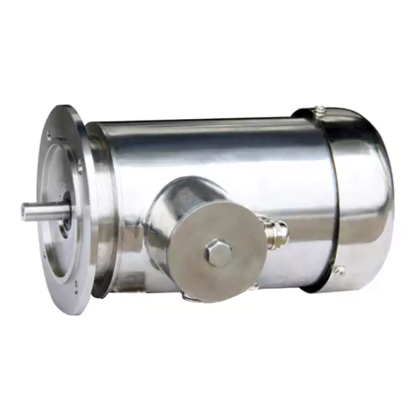 IEC B5 flange-mounted stainless steel motor -TEFC