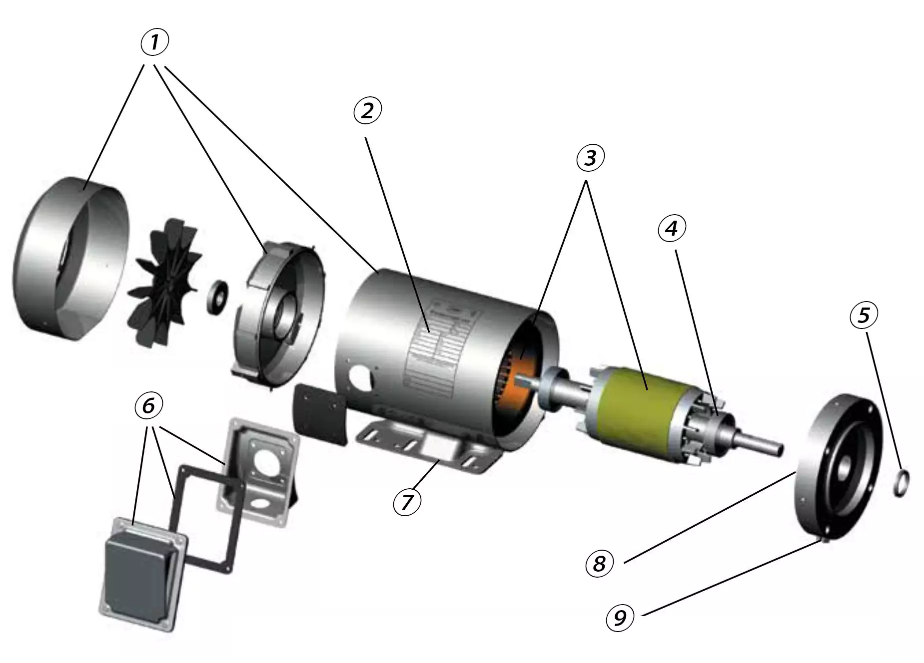 Stainless Steel Motor For Rigorous Washdown Applications