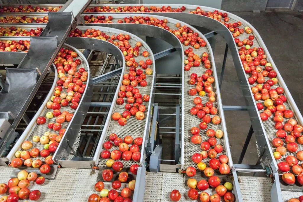 Applications of Plastic Conveyor Chains