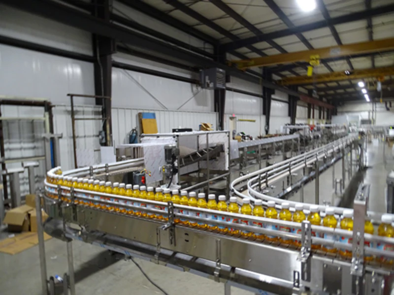 Plastic Conveyor Chains