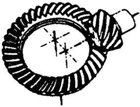 Hypoid Gear